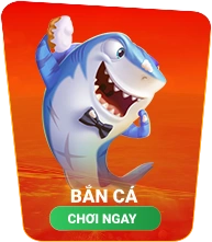 XIN88 APP